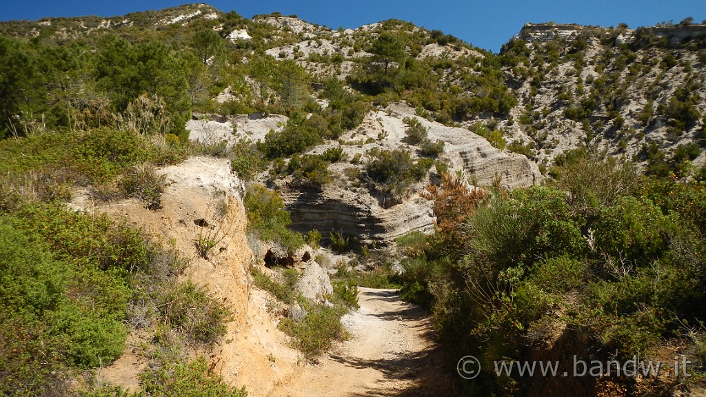 DSCN8755.JPG - Un vero spettacolo, sembra di pedalare in Africa